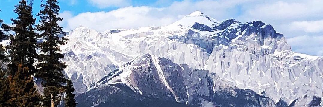 Michelle Pollington banner