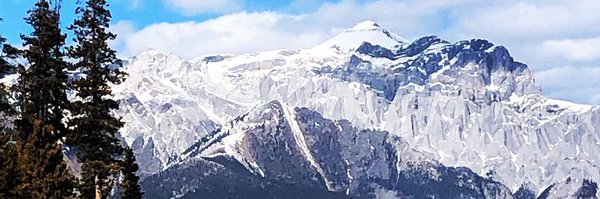 mpolling Profile Banner