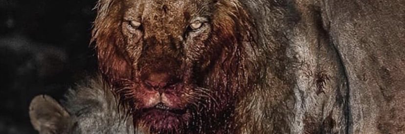 Zaheer_Seabrooks banner