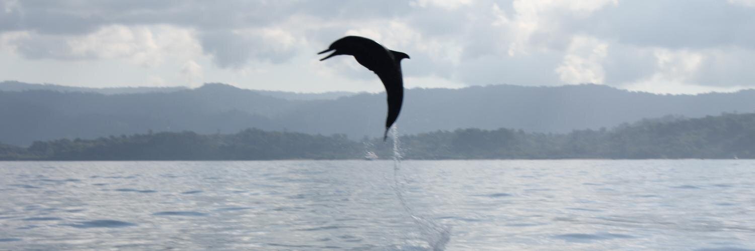 Travelandream's profile banner image