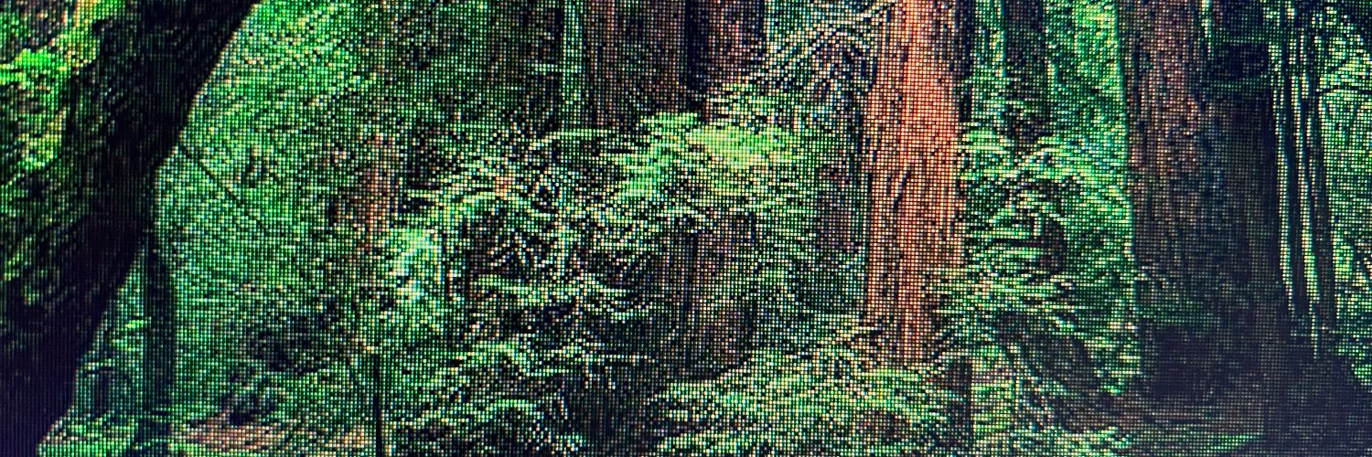 Kali Nicole Neal banner