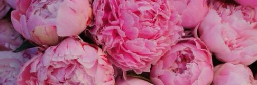 MiriamMoorman's profile banner image