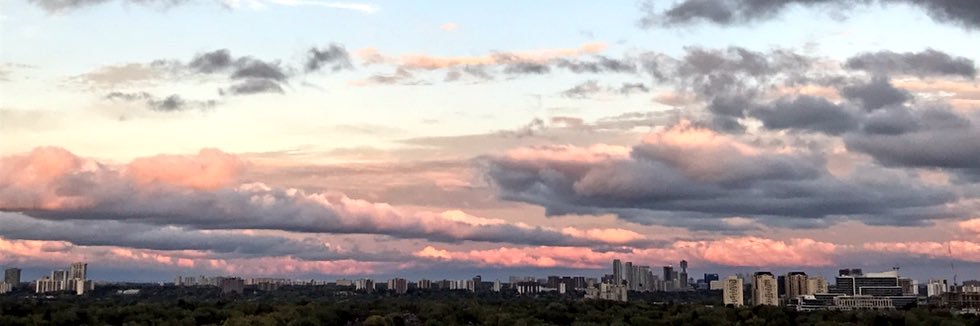 Nazila Atarodi banner