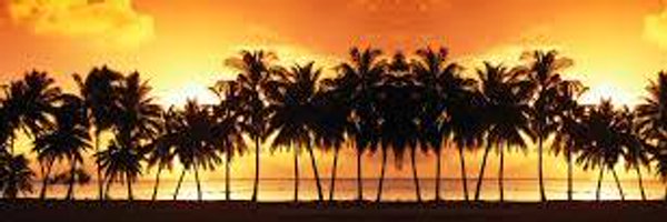 snixd75 Profile Banner