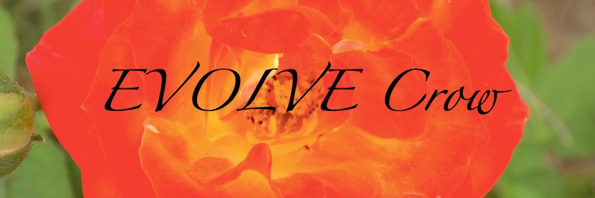 EVOLVE_Crow's profile banner image