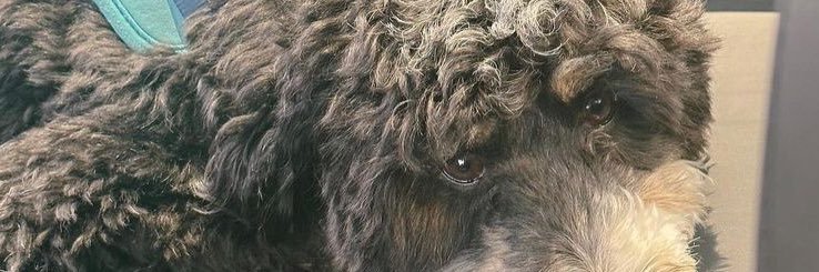 pablogavira5050's profile banner image