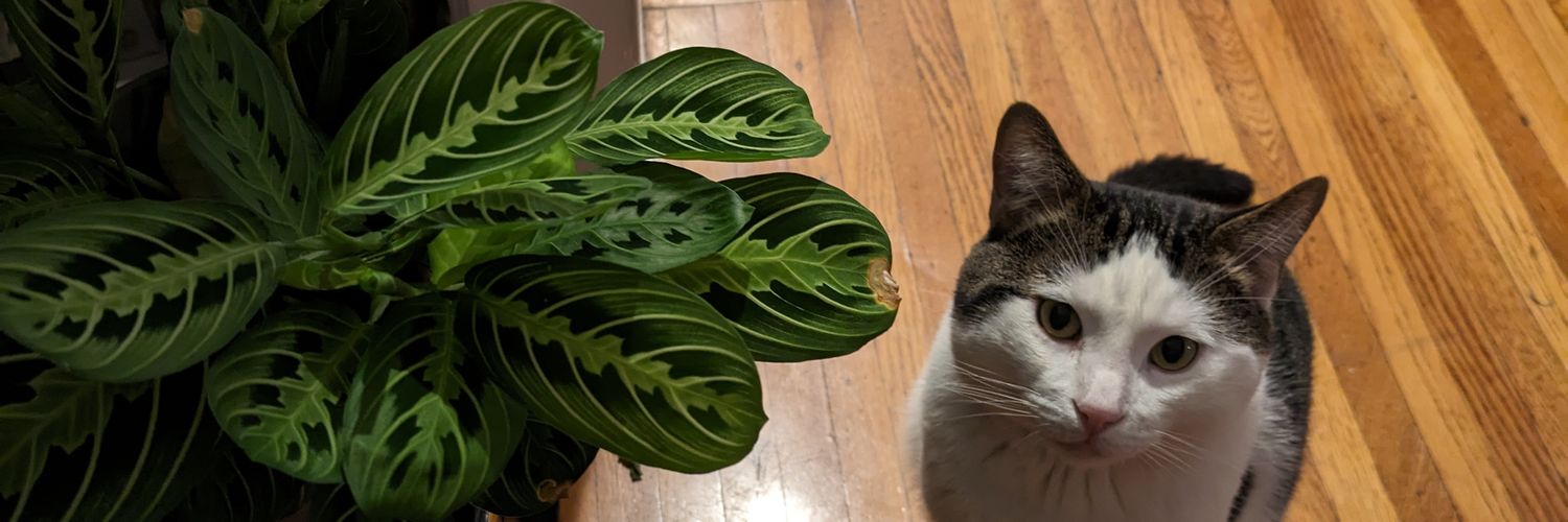 nybtggf's profile banner image