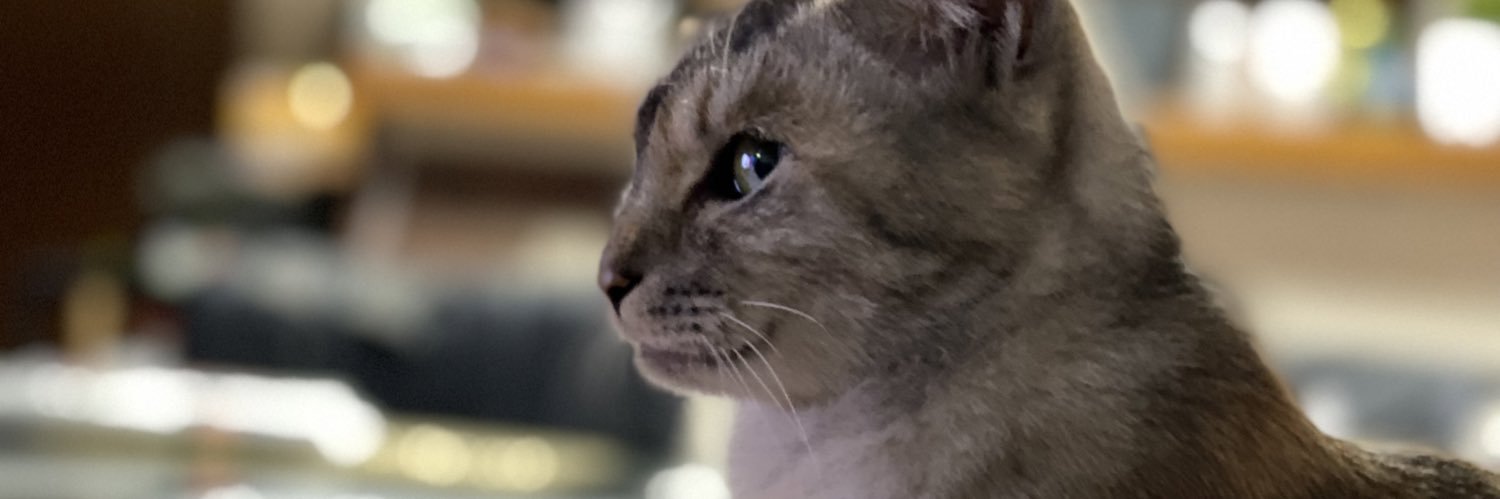 etuko3's profile banner image