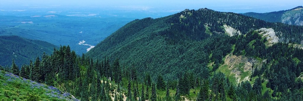 carlilutz's profile banner image