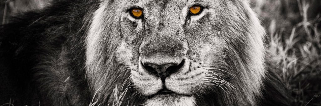 KB 👨🏽‍💻☁️ banner