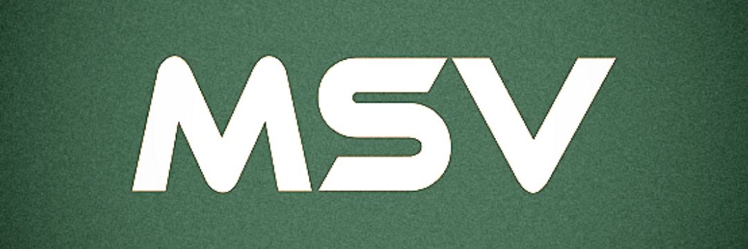 SriniMSV16's profile banner image