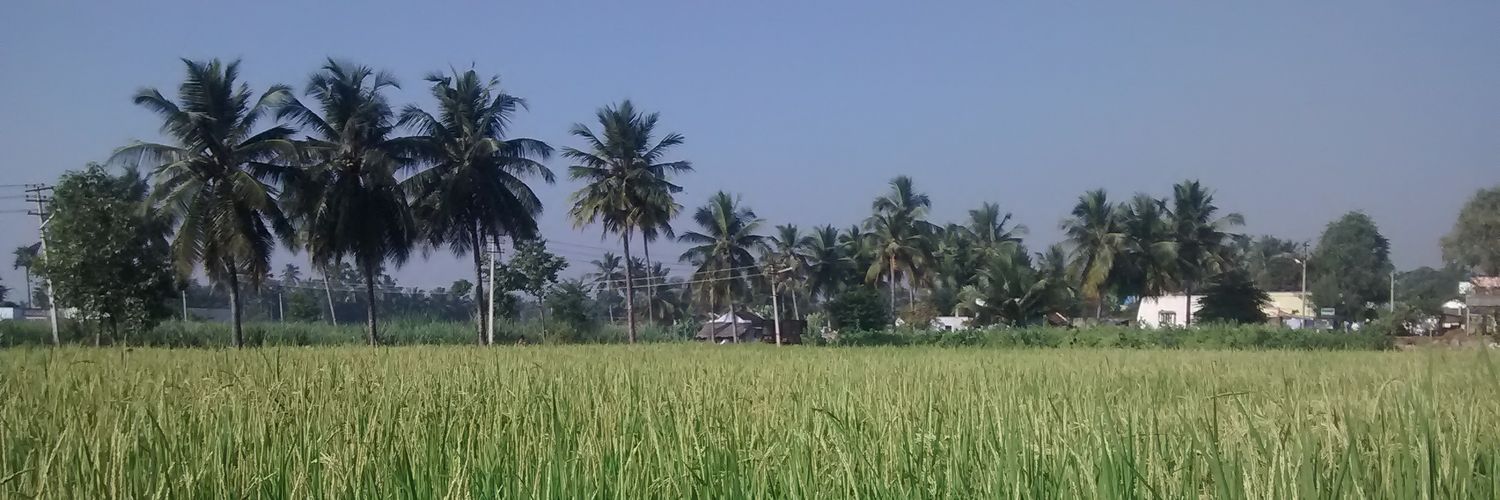 sckesavan's profile banner image