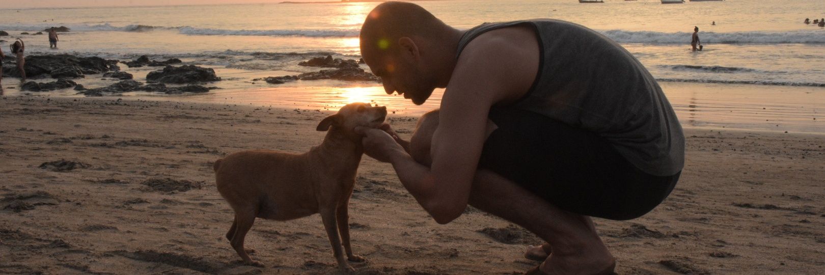 acesicillo's profile banner image