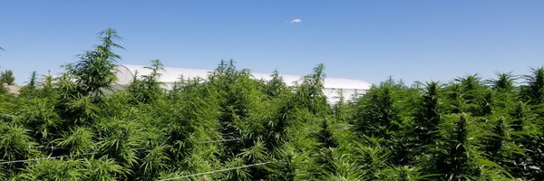 mypotguide Profile Banner