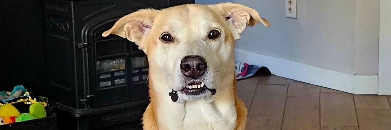 tucker1176's profile banner image