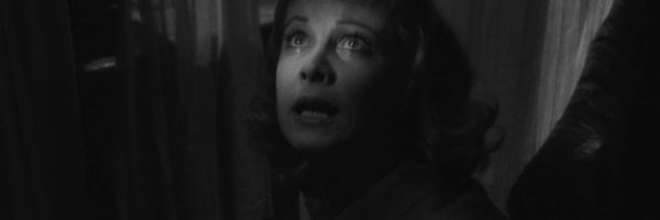 grey_chanda Profile Banner