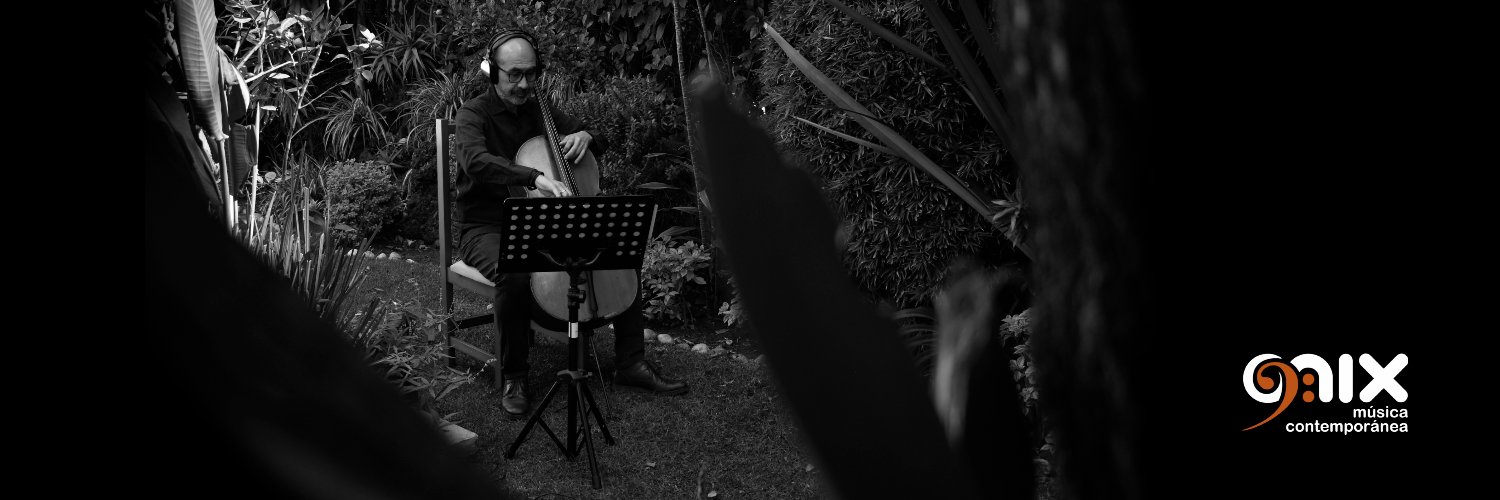 Onix Ensamble banner