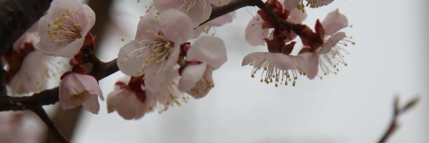 daldal_31's profile banner image