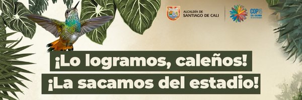 ribarcodi Profile Banner