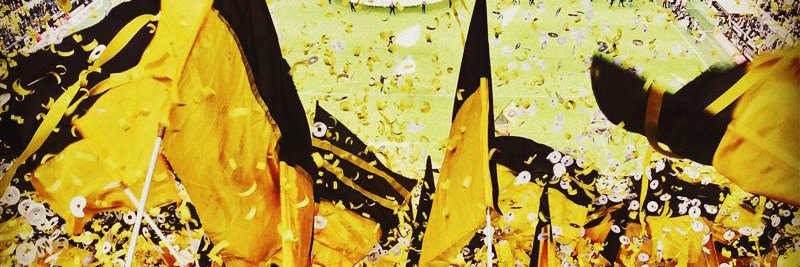 BVB-Fanbeauftragte's banner