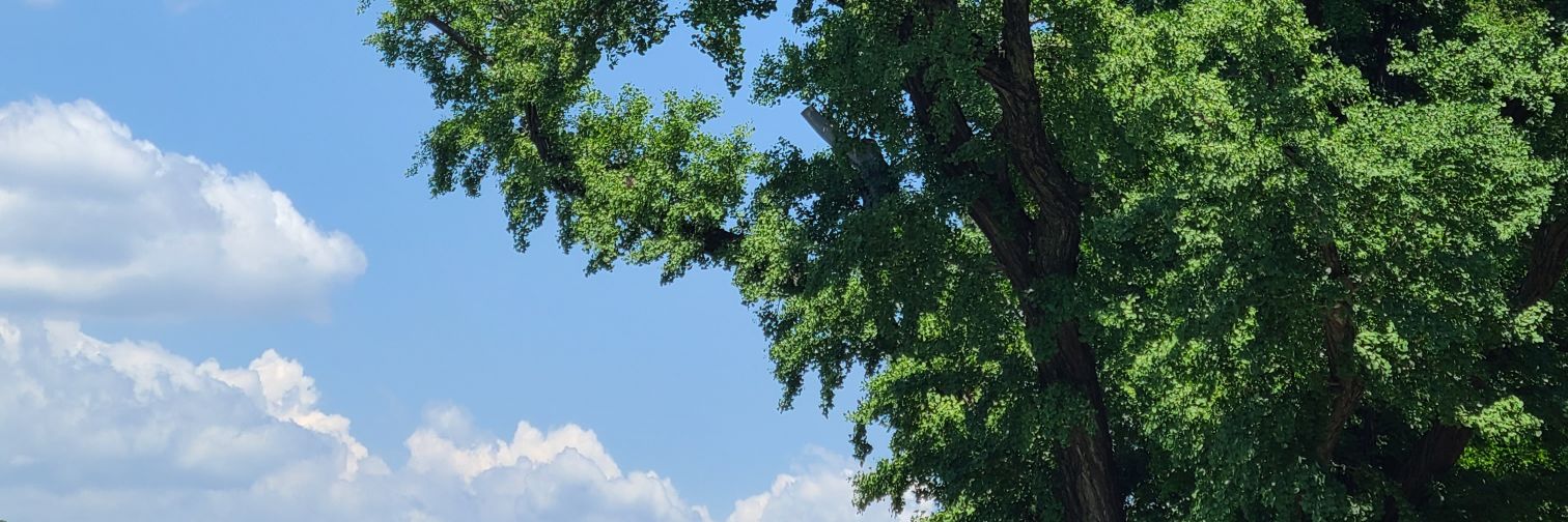 longtakes's profile banner image