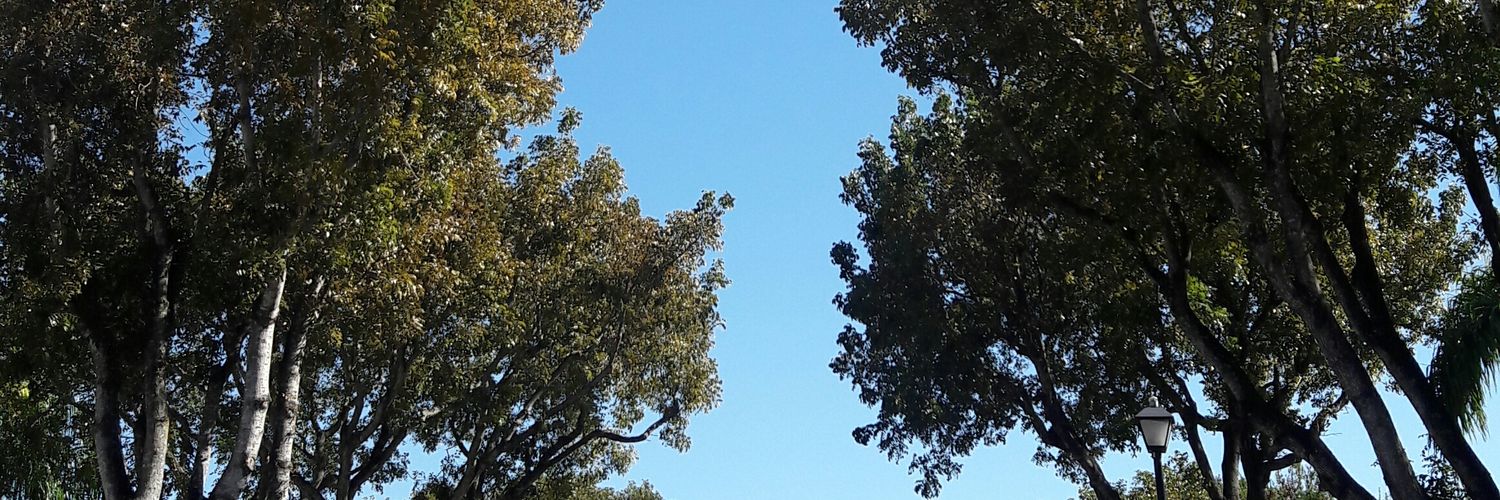 DaissyMarcano's profile banner image
