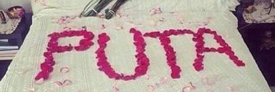 BisexEcatepec's profile banner image