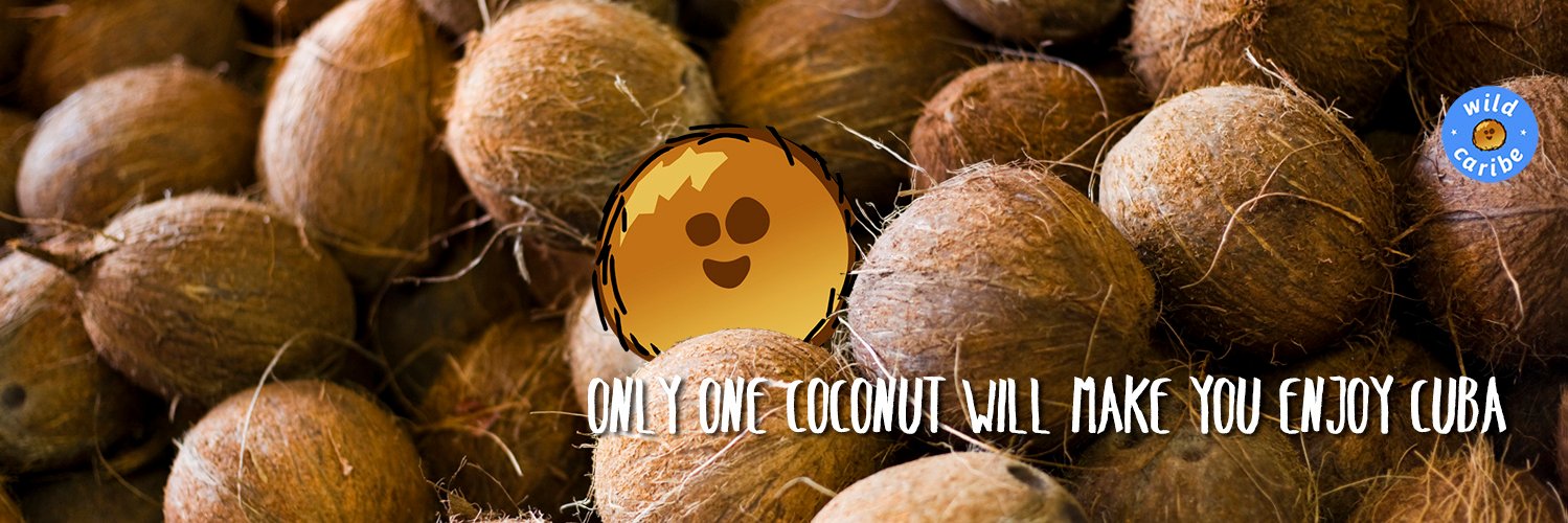 wildcaribe's profile banner image