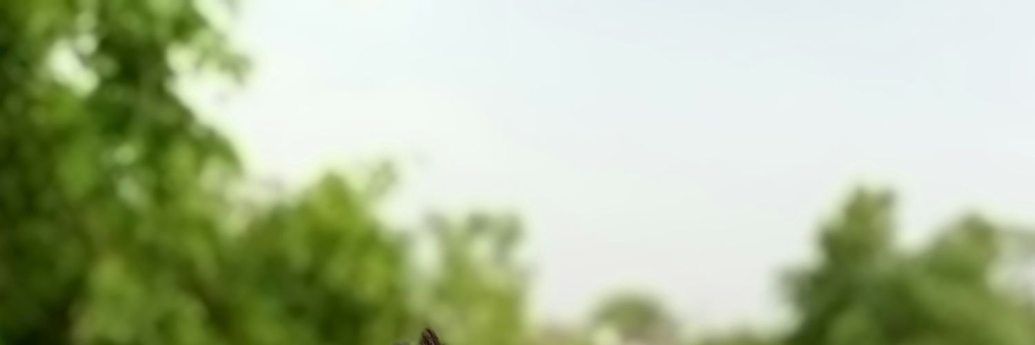 gulyank_143's profile banner image