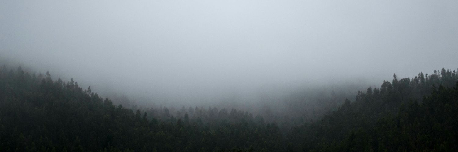 fgcholaky's profile banner image