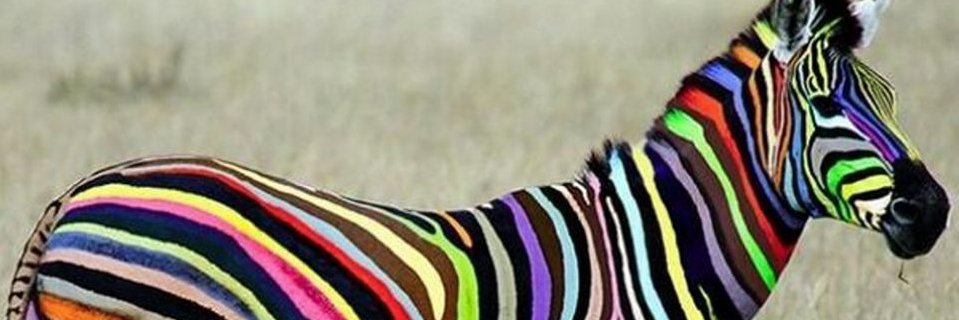 bondsteph's profile banner image