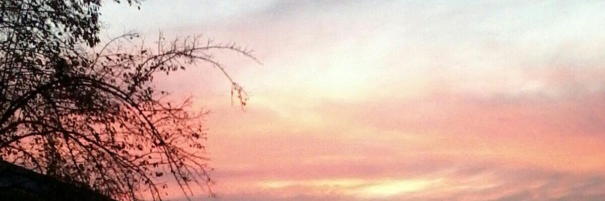 67Miel's profile banner image