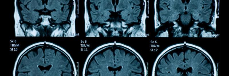 Dr. Mark Hiatt banner