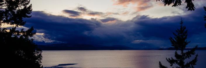 Edward Vignone banner