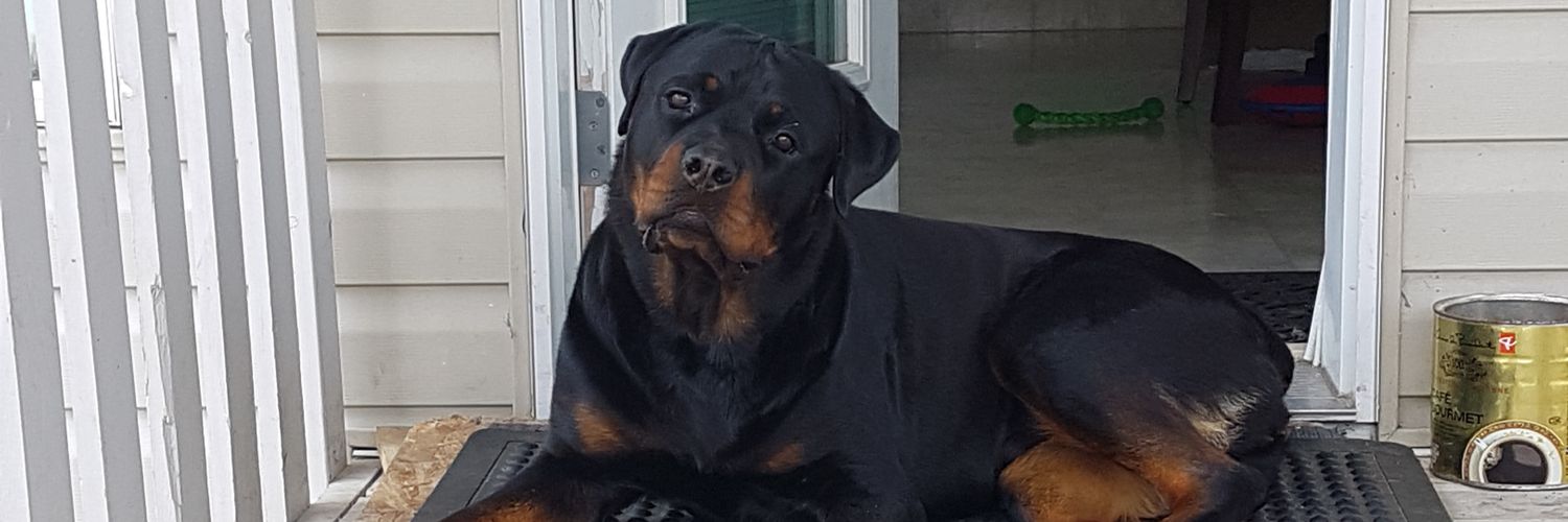 aaron_t72's profile banner image