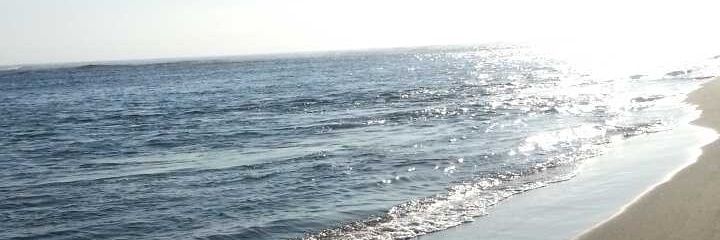 dancelover2230's profile banner image
