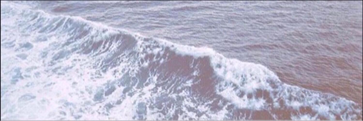 loopyleave's profile banner image