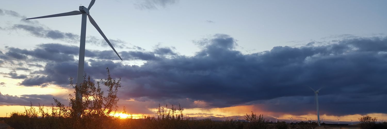 PateDePatoPDP's profile banner image