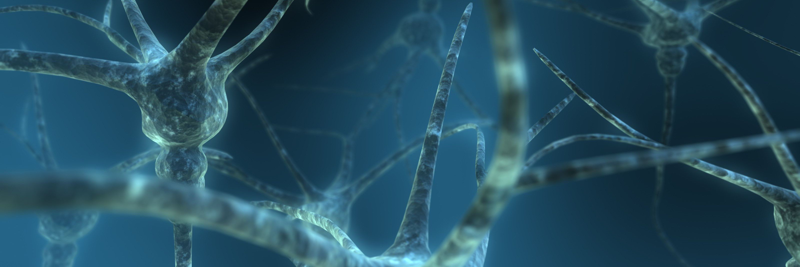 Vanesa Pytel, PhD. banner