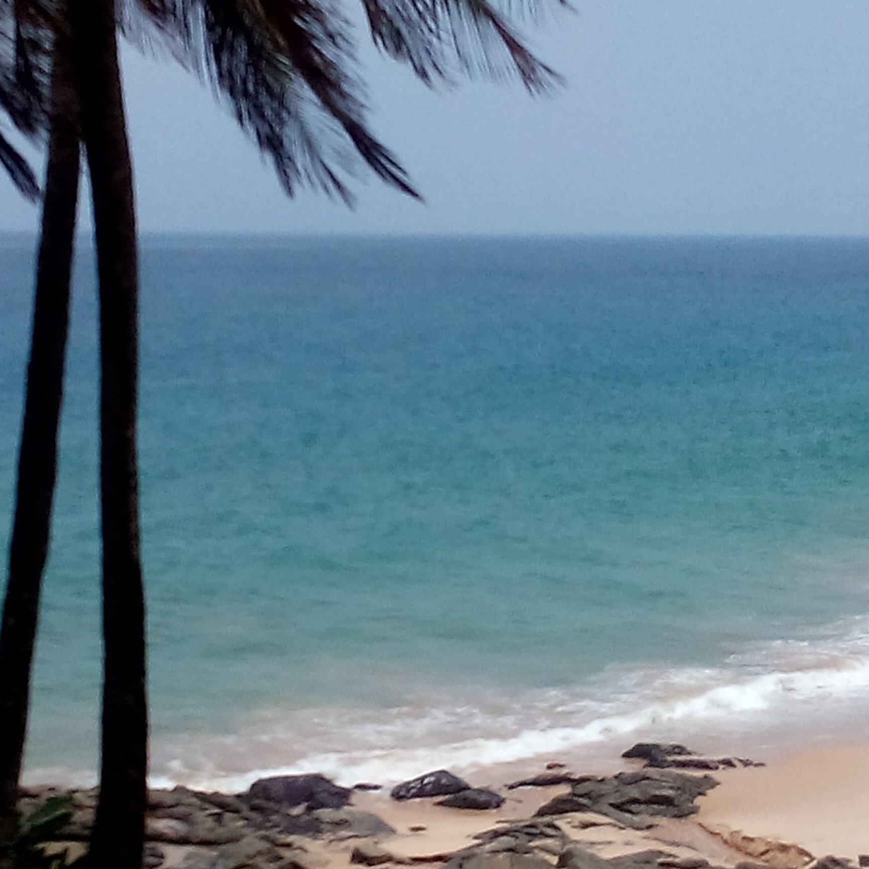 NathyValentim's profile banner image