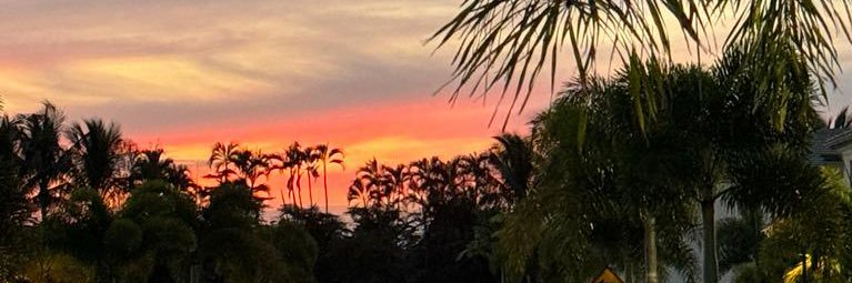 _alejandraaaa23's profile banner image