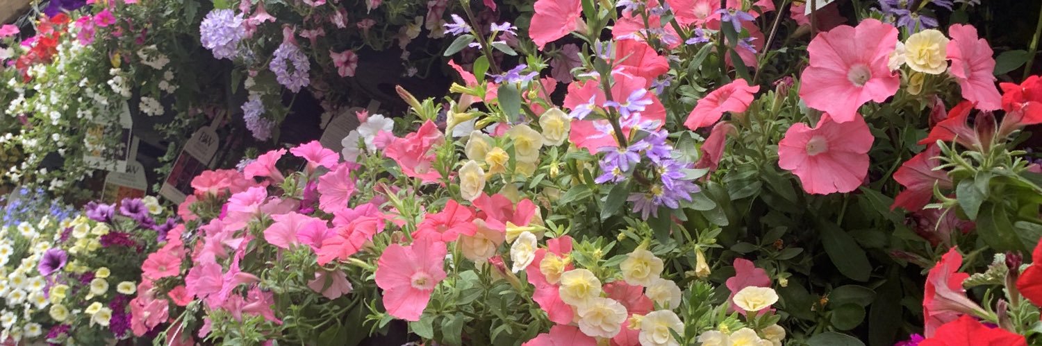 TarynW1's profile banner image
