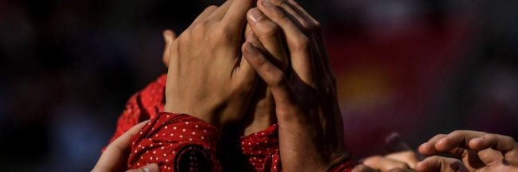 Montse Arnan banner