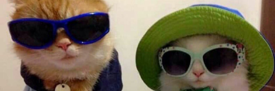 csevvall's profile banner image