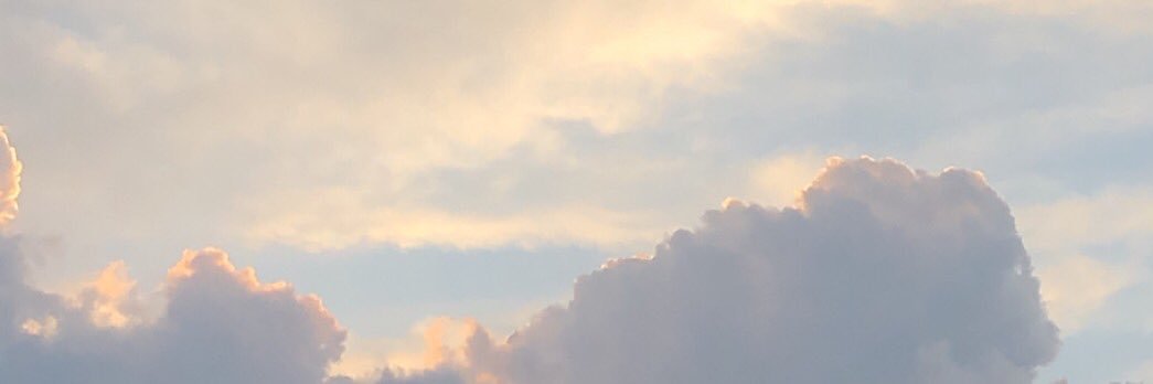 AlphaToadMom's profile banner image