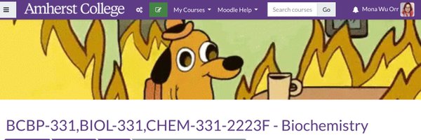 _pseudo_mona Profile Banner