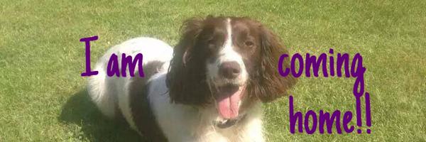 getbramblehome Profile Banner