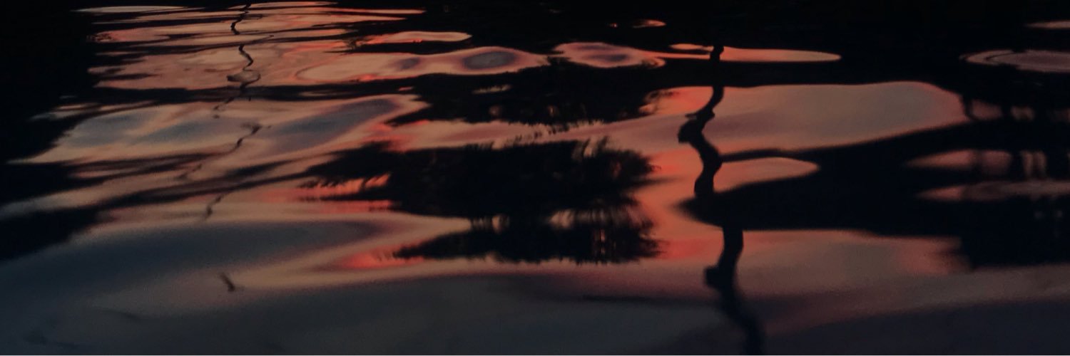 litterally_no's profile banner image