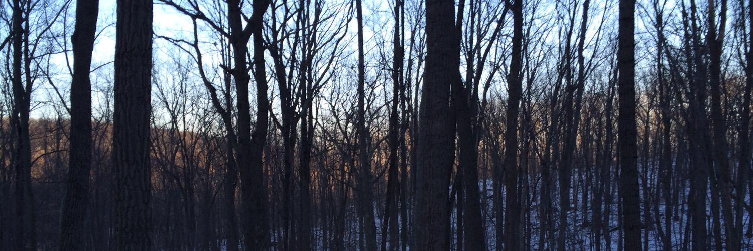 maryvvallace's profile banner image