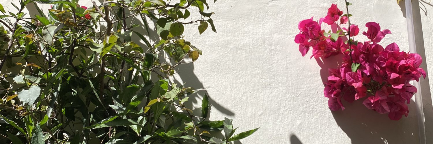 _floriu's profile banner image